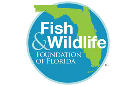 Florida Fish and Wildlife Foundation Logo