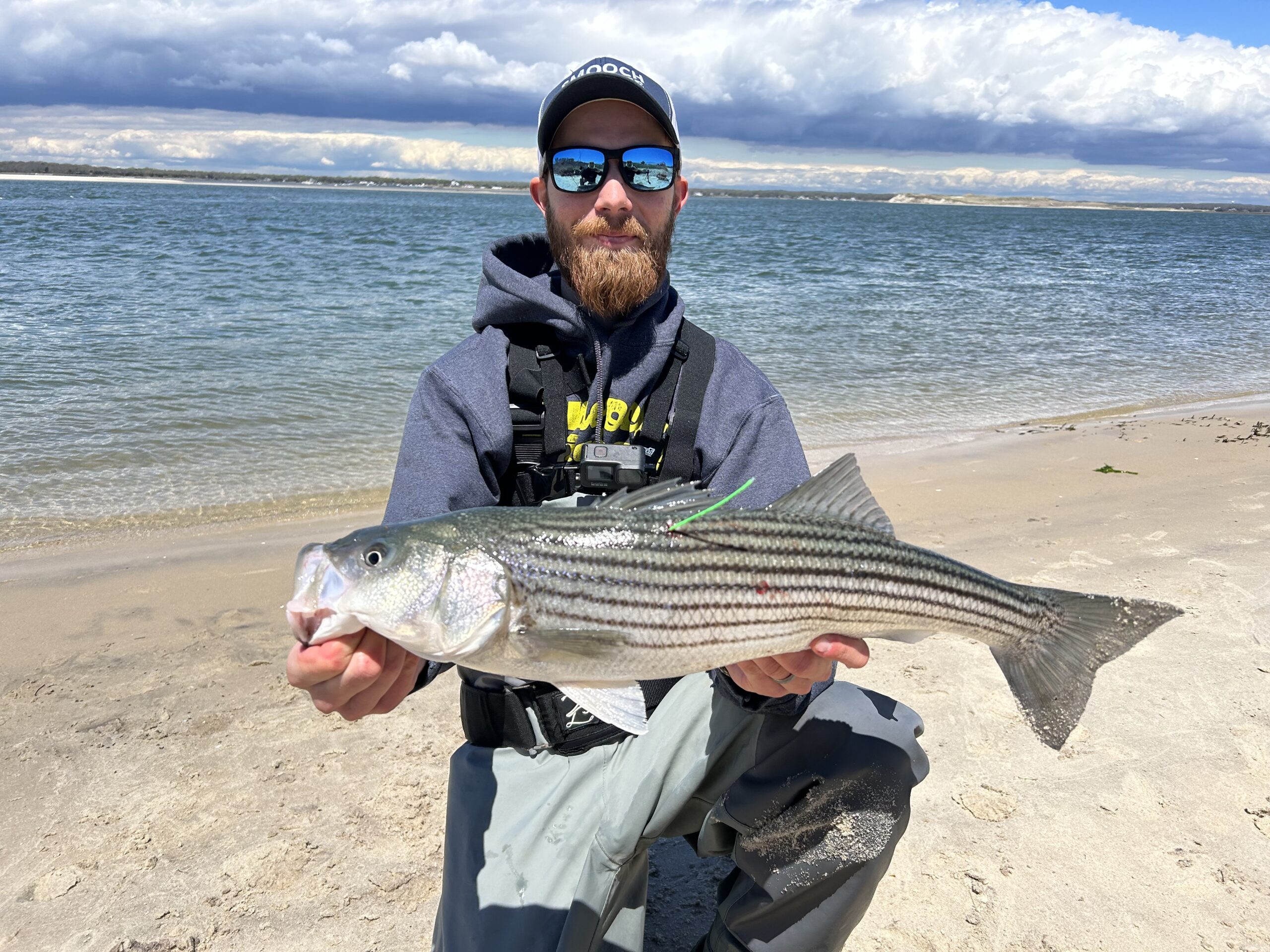 George Perry | Gray FishTag Research