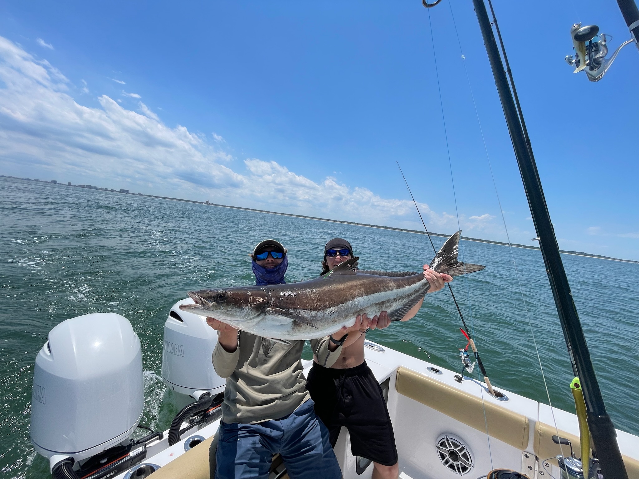 Scupper | Gray FishTag Research