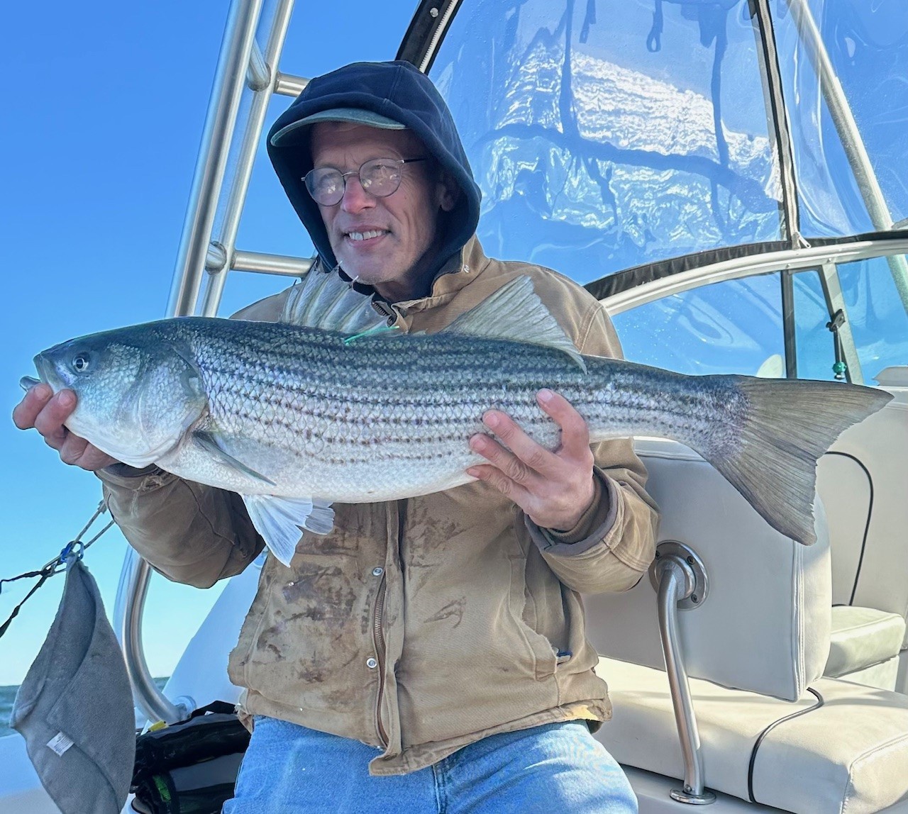 Asgr Fish ASA | Gray FishTag Research