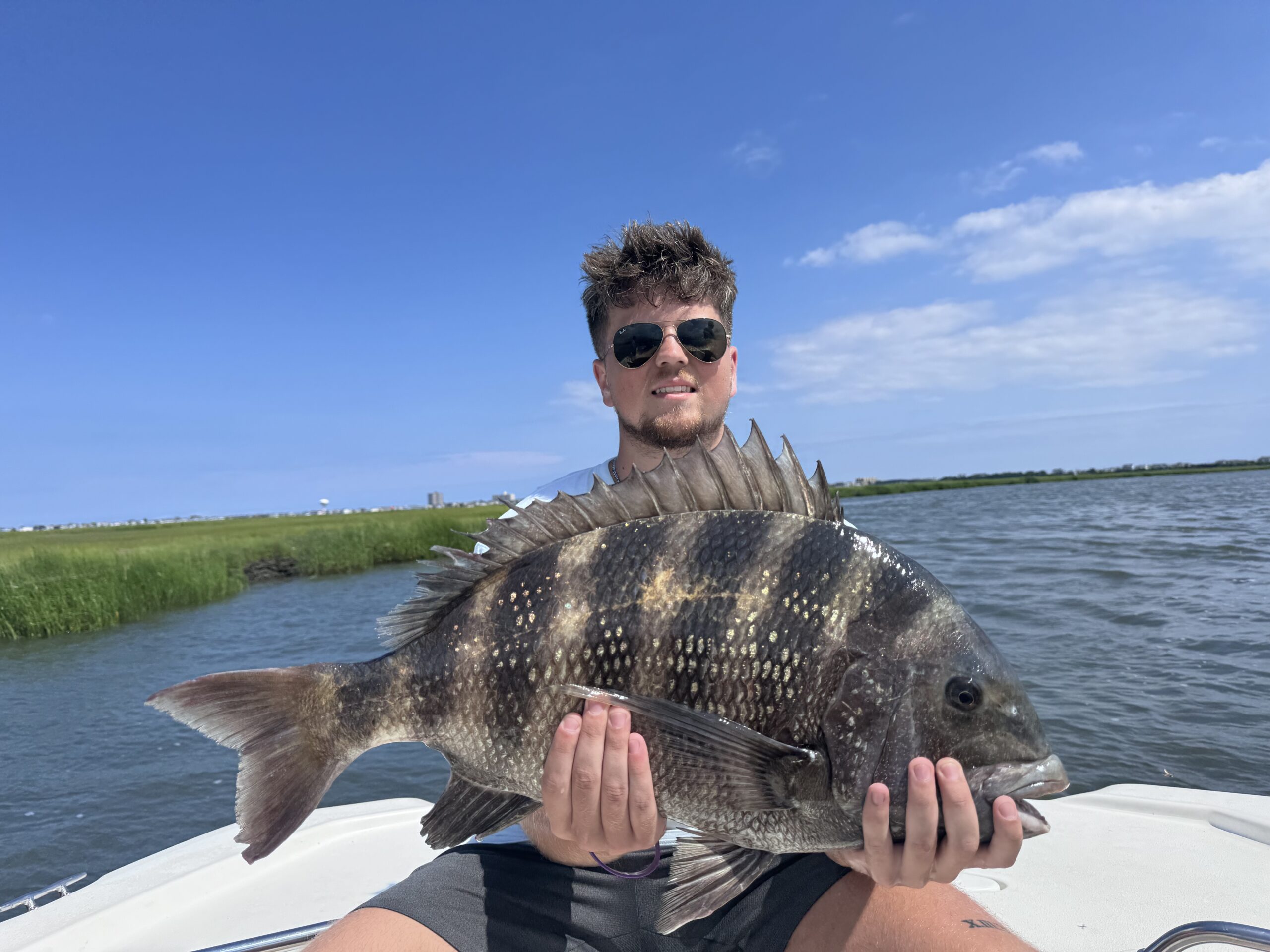 Ken steward | Gray FishTag Research