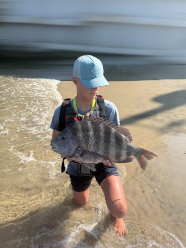 The current image has no alternative text. The file name is: Sheepshead.jpg