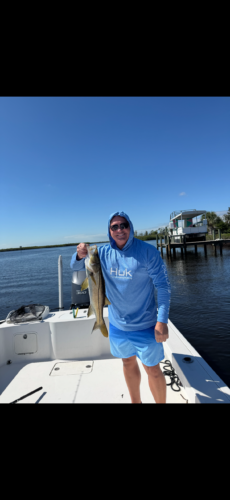 The current image has no alternative text. The file name is: 75130-scaled.png